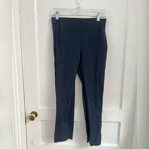 EVERLANE Women's Side Zip Pull On Blue Stretch 
Pants Size 8